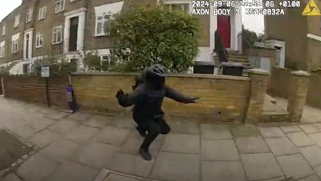 Uhićenje uličnog lopova