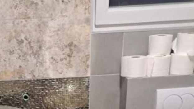 Bizarno uređena kupaonica u Dalmaciji
