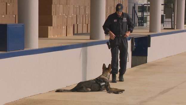 Na Bregani jedna od najvećih zapljena cigareta ikada