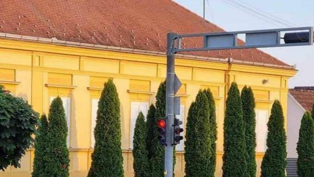 Odbjegla svinja u Vinkovcima