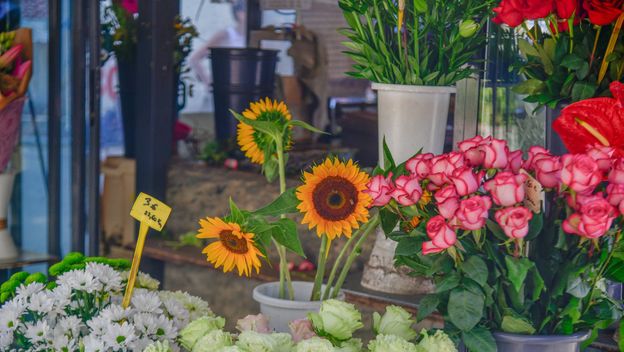 Cvjećarnica, ilustracija