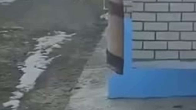 Mačka koja se penje po pokrivaču