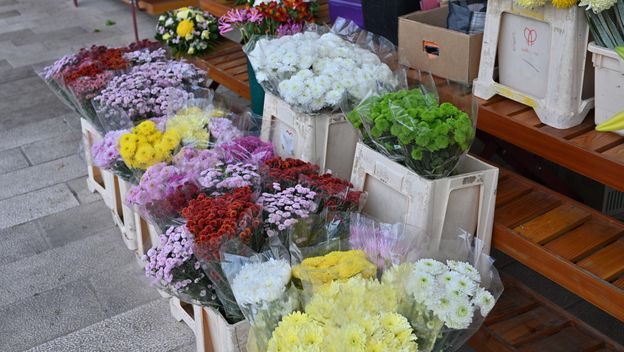Ilustracija; Cvijeće na tržnici