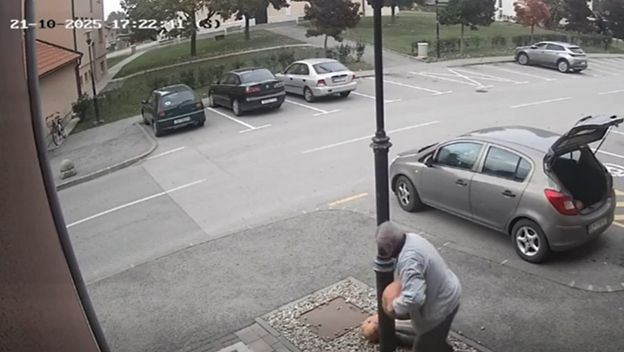 Drski lopov u Rovišću