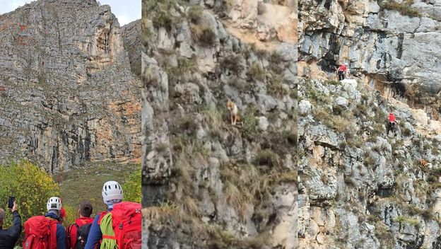 Spašavanje psa sa stijene - 10