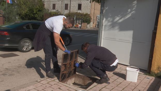 Opet problemi s glodavcima - 4