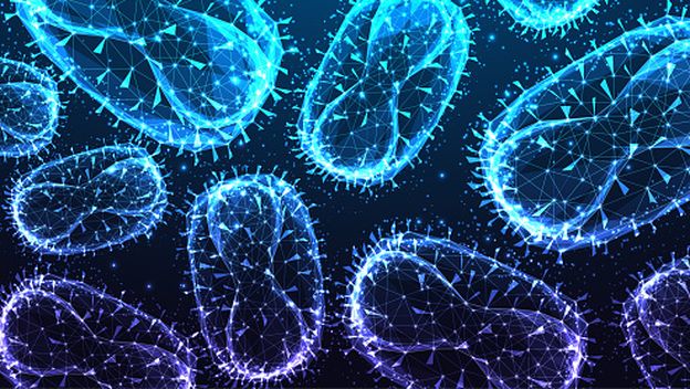 Virus majmunskih boginja