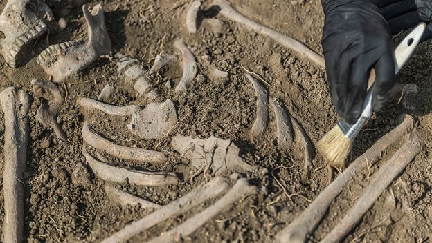 Antroplozi iskapaju ljudske ostatke, ilustracija