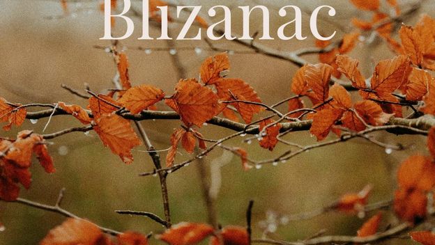 Blizanci