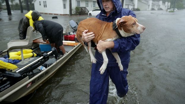 New Bern (Foto: CHIP SOMODEVILLA / GETTY IMAGES NORTH AMERICA / AFP)