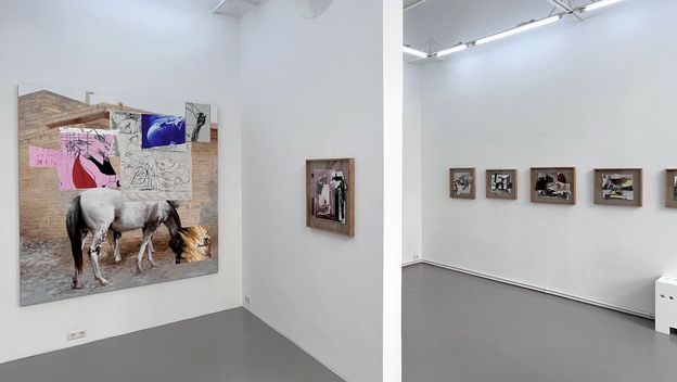 izložba Zlatan Vehabović - 3