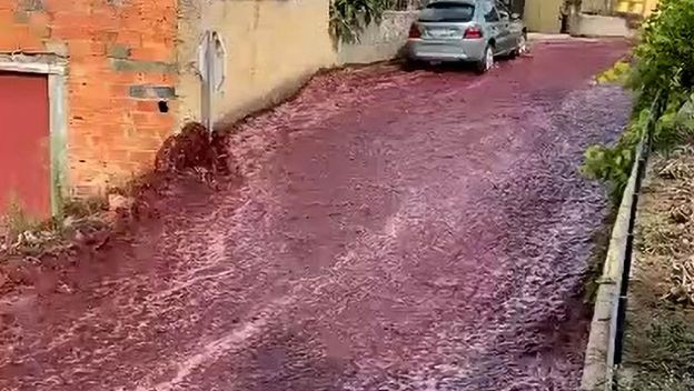 Rijeka vina u Portugalu