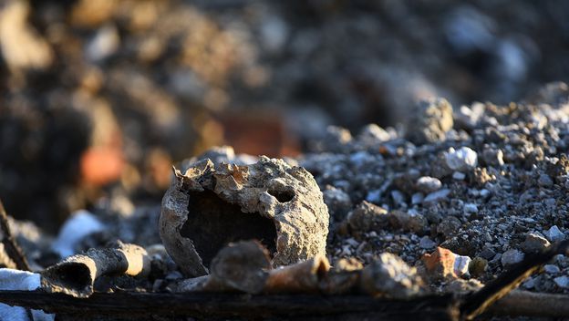 Kosti pronađene na deponiju u Karlovcu - 2