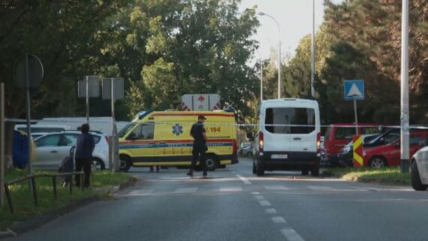 Policija u Prečkom - 2
