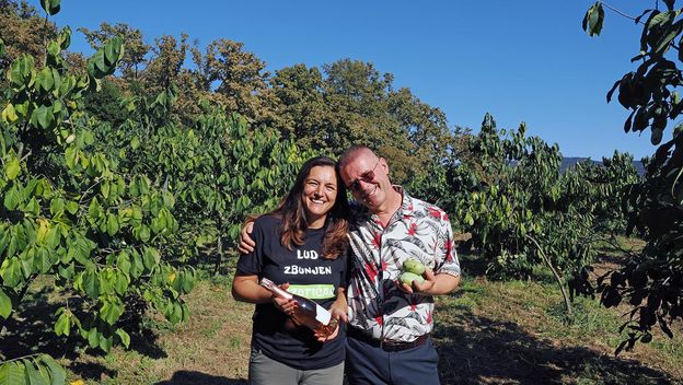 Plantaža indijanske banane u Zagorju - 13