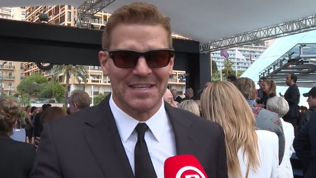 David Boreanaz