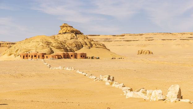 Dolina kitova Wādī al-Ḥītān - 8