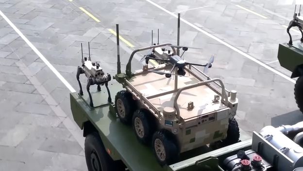 Kineski robotski vuk