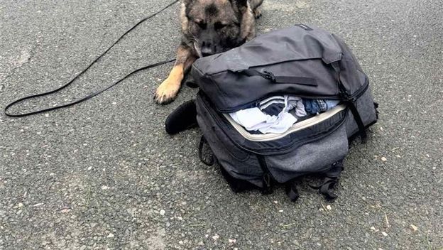 Policijska zapljena na A6 - 1