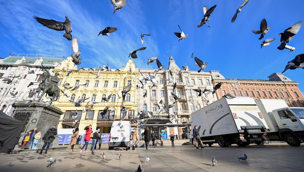 Golubovi na Trgu bana Jelačića