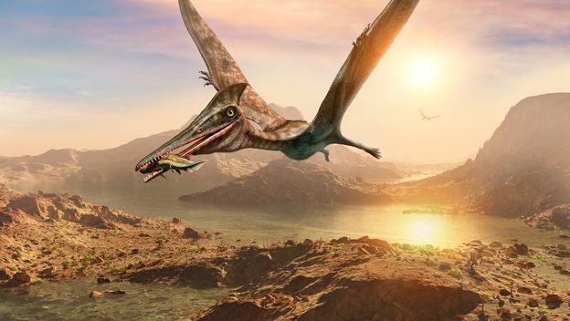 3D ilustracija pterosaura