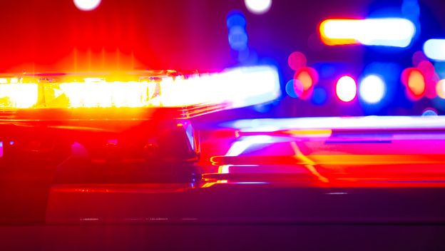 Ilustracija; Policija