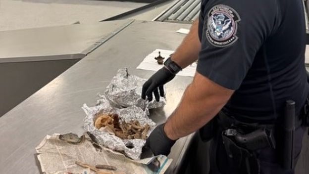 U prtljazi pronađeni ljudski ostaci - 1