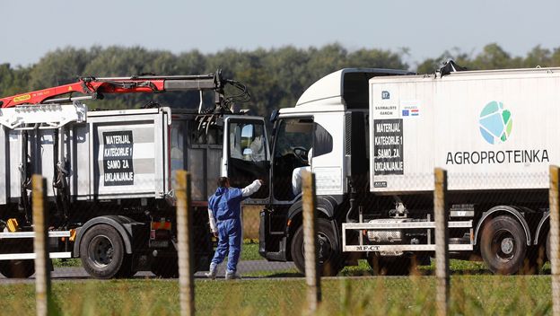 Eutanazija svinja na farmi u Sokolovcu - 1