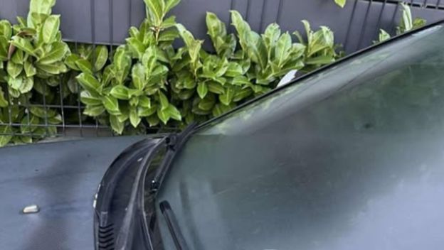 Bizaran detalj na staklu parkiranog automobila