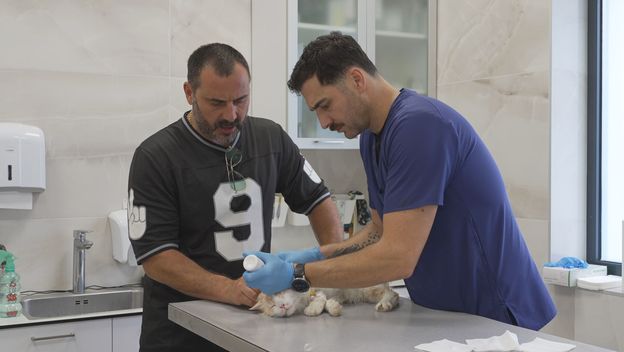 In Magazin: Milan Marić - 4