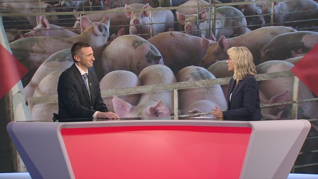 Ivan Penava i Sabina Tandara Knezović