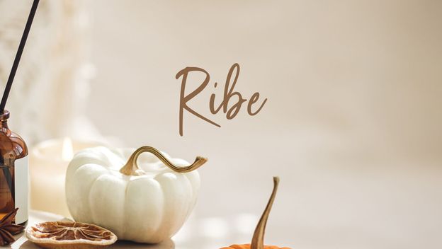 Mjesečni horoskop: Listopad