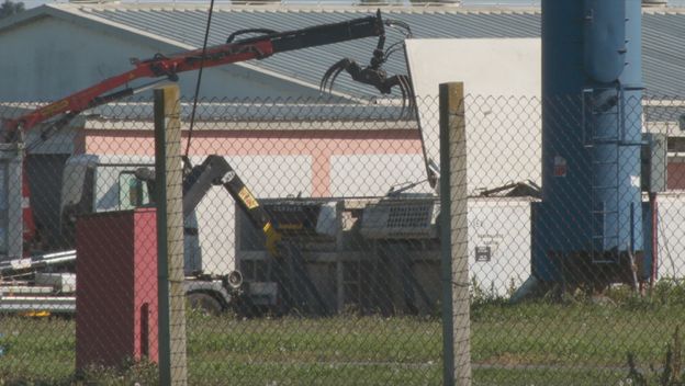 Eutanazija svinja zbog afričke svinjske kuge - 4