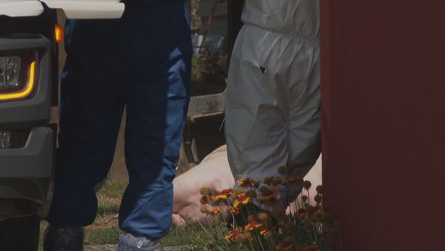 Eutanazija na farmi Sokolovac