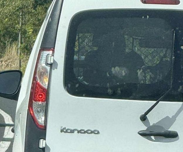 Automobil