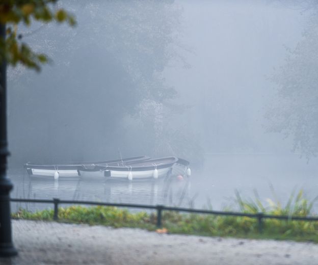 Magla u parku Maksimir