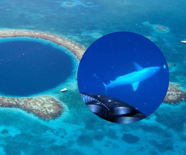 Velika plava rupa nedaleko od obale Belizea i snimka morskog psa