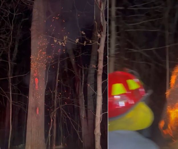Vatrogasci saniraju stablo