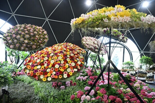 Floraart 2025.