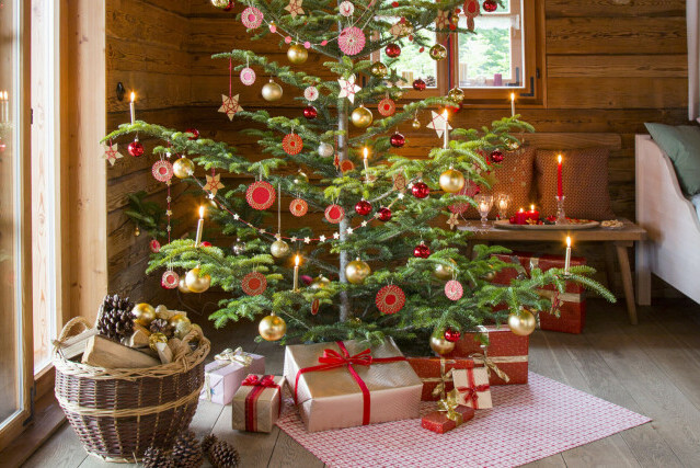 Božićna drvca s rijetkim granama - 10