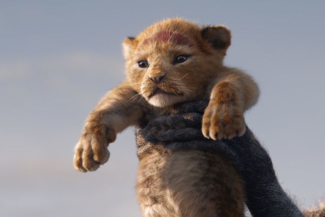 Novi Kralj lavova u kina stiže u srpnju 2019. godine