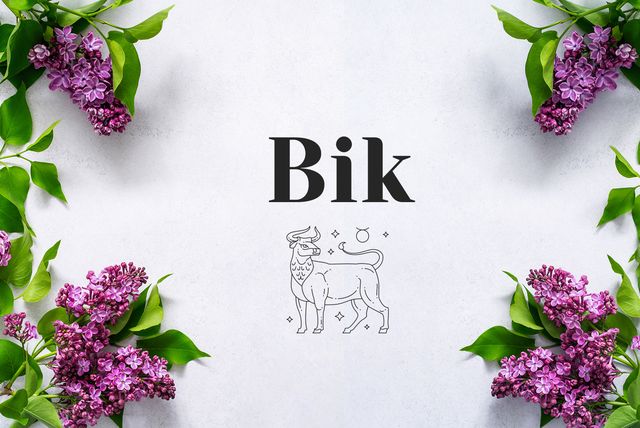 Bik