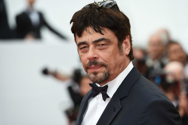 Benicio del Toro