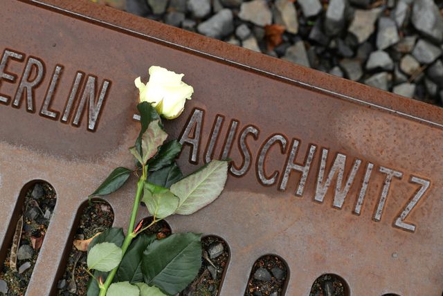 Cvijet na pruzi kojom su Židove iz Berlina vlakom dovodili u Auschwitz