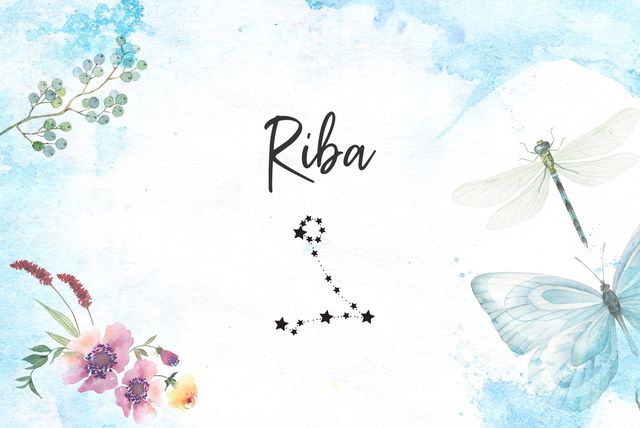 Ribe