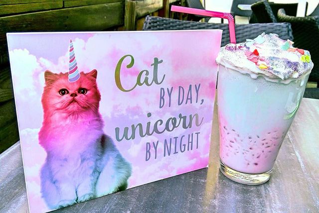 Caticorn frappe uskoro će biti u ponudi zagrebačkog kafića Cat Caffe