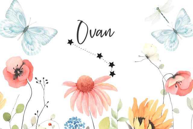 Ovan