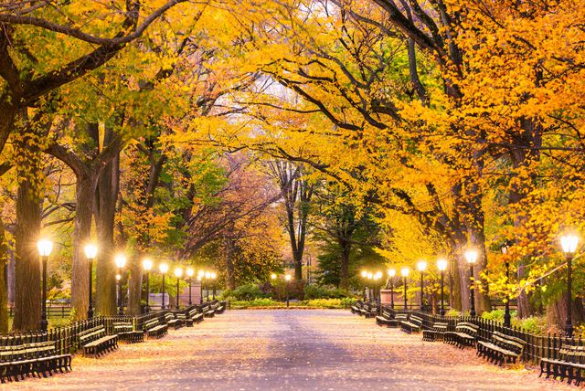 Central Park u New Yorku osvaja svojom ljepotom i prirodom