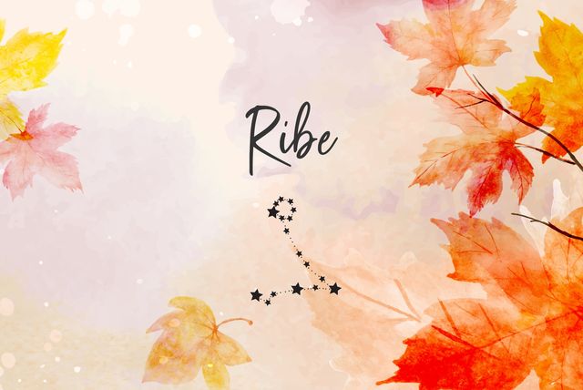 Ribe