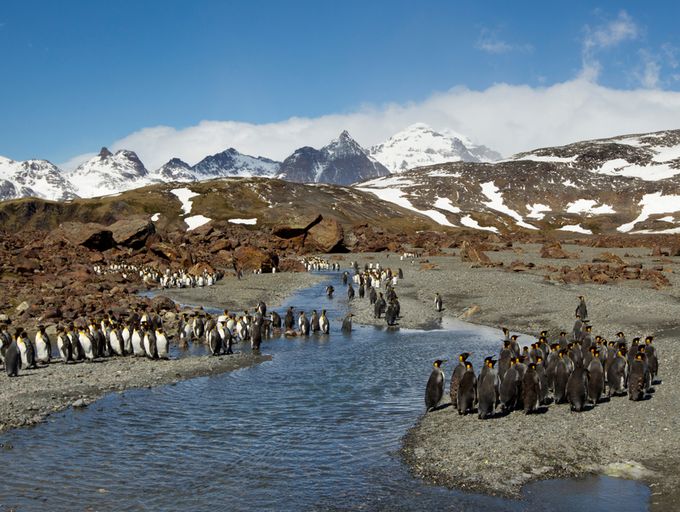 Kerguelen - 1